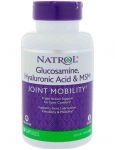 Hyaluronic Acid MSM and Glucosamine Hyaluronic Acid MSM and Glucosamine